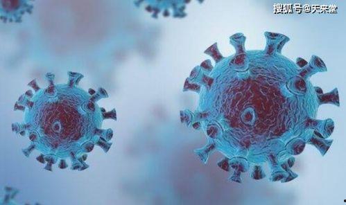 《病毒》在线观看,揭秘病毒起源与全球抗疫历程